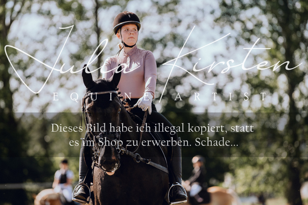 DSC_7114 | Pferde- und Turnierfotografie in Westsachsen. Pferdeportraits, Auftragszeichnungen und intuitive Kunst.