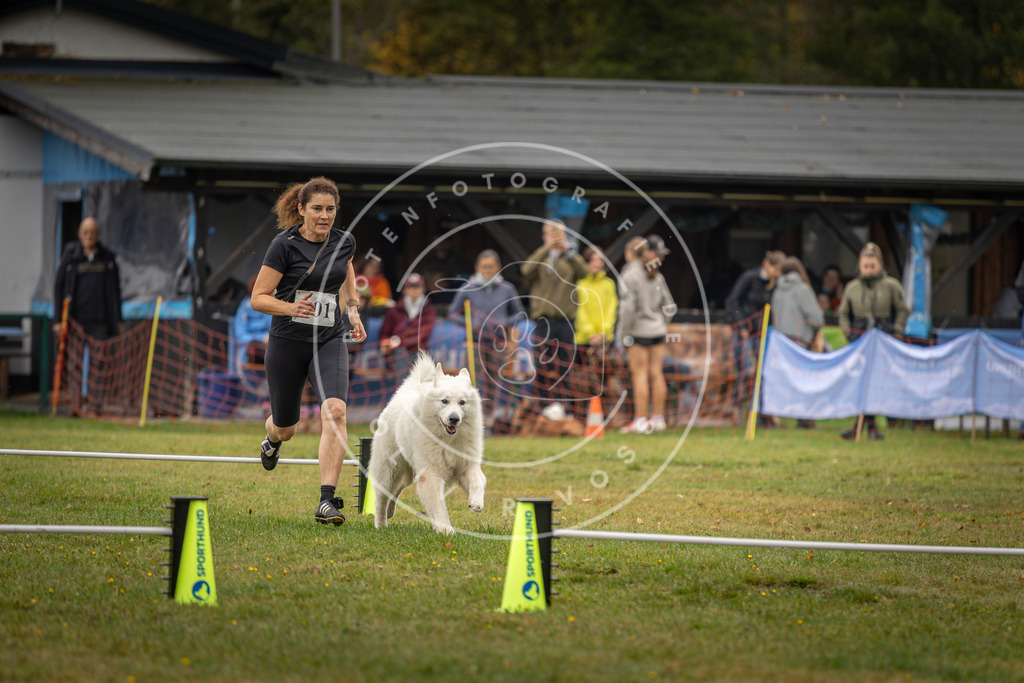 Pfotenfotografie_DV3A1588 | Hundefotografie, Tierfotograf, Pfotenfotografie, Fotoshooting Hund, Hunde Portrait, Hundesport, Hundeportraits, Heideshooting, Hunde, Sportfotograf, Hundefotograf, Turnierhundsport, THS,  - Realisiert mit Pictrs.com