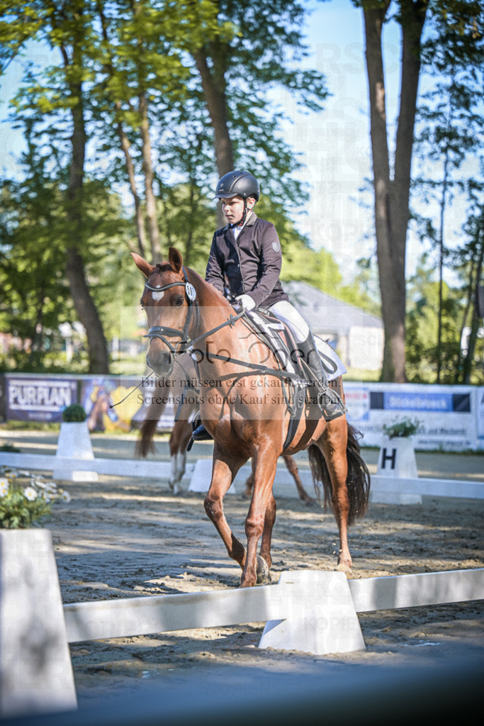 DOS_3476 | Entdecke hochwertige Reitturnierfotos von Foto Oger. Professionell, emotional und authentisch – jetzt Lieblingsmomente im Shop bestellen.Deutschlandweite Turnierfotografie. - Realisiert mit Pictrs.com