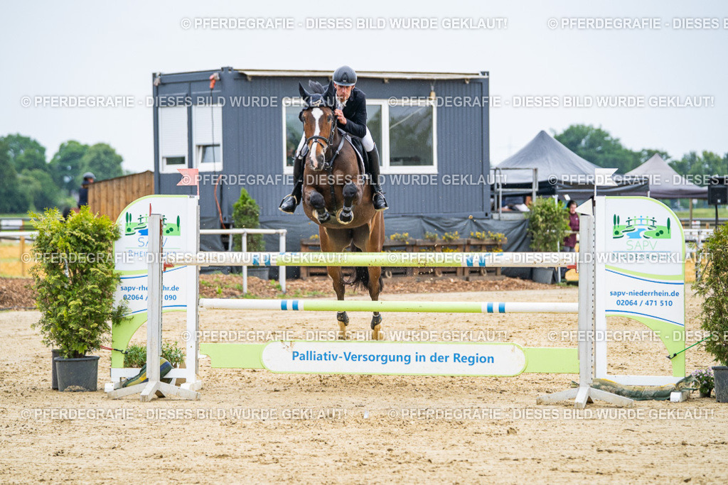 DSC09150 | Pferdegrafie