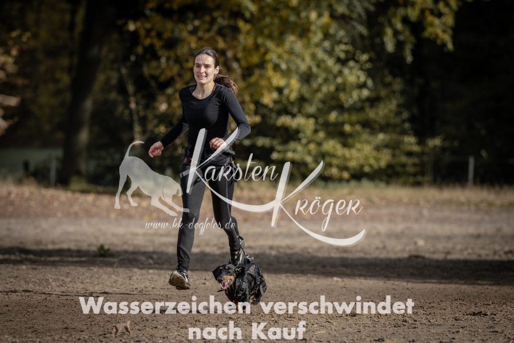 1213_ZZ93708 | kk-dogfotos