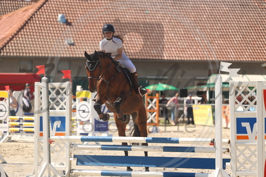 994A5941 | sabrinanicolaifotografie - Realisiert mit Pictrs.com