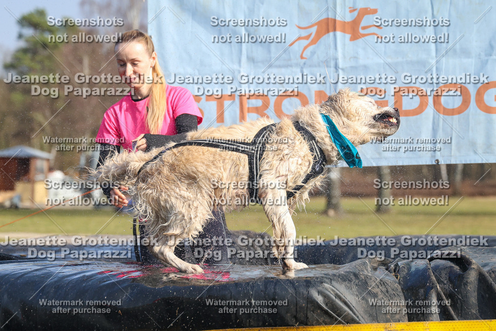 Dog Paparazzi - Strongdog North Mrz26-2814 | Dog Paparazzi Jeanette Grottendiek Fotografie & Videografie - Realisiert mit Pictrs.com