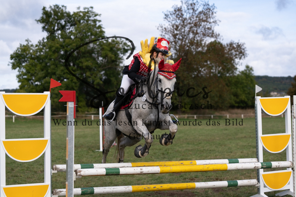 A7V06565 | Pferdefotograf