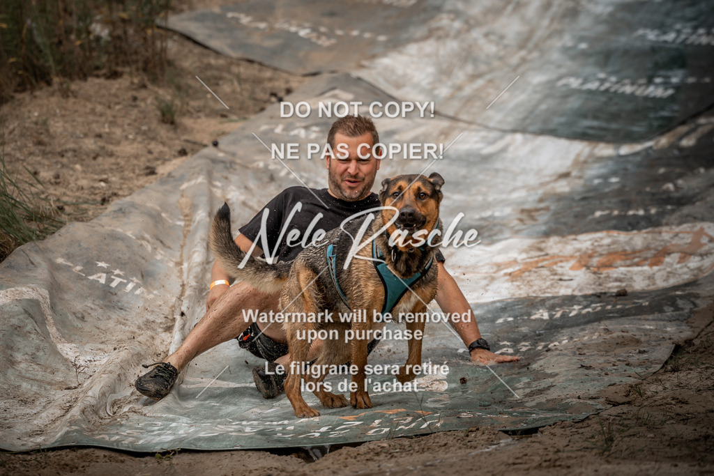 nelerasche_sa1000-1100_231 | nelerasche