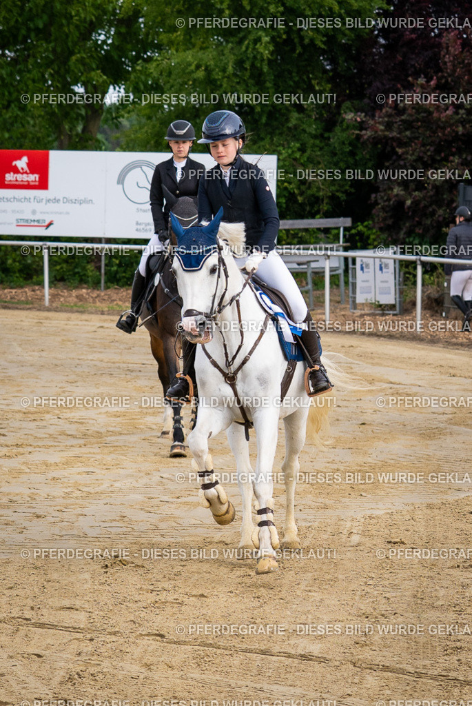 DSC03206 | Pferdegrafie