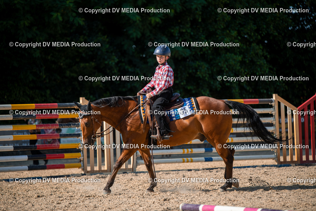 EWP_7012 | dv-media-shop - Realisiert mit Pictrs.com