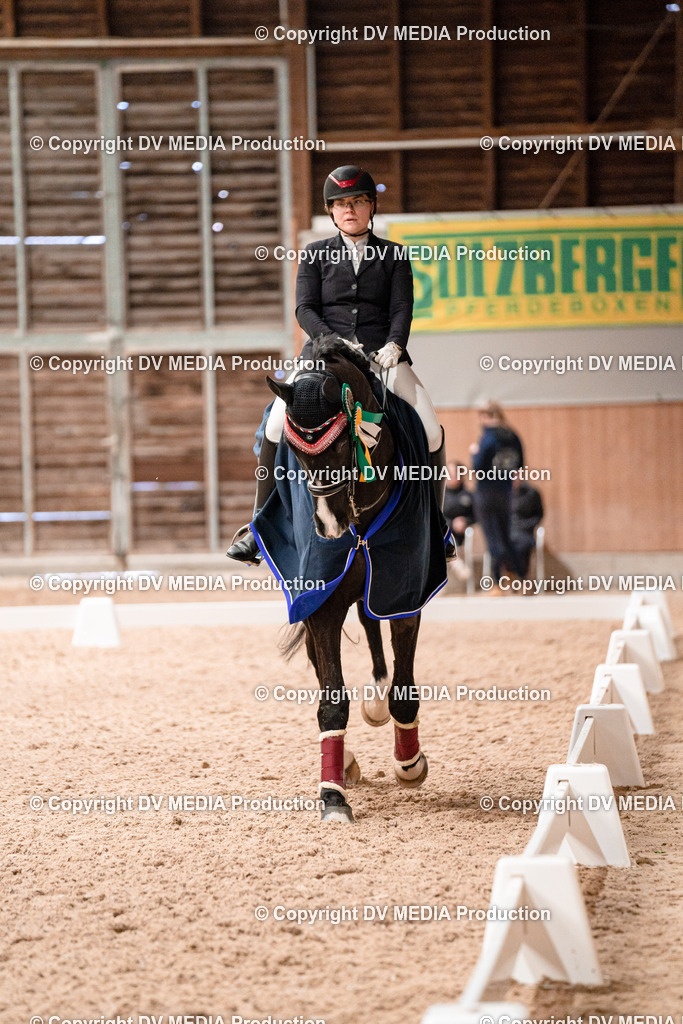 Dressur Tag 3-336 | dv-media-shop - Realisiert mit Pictrs.com