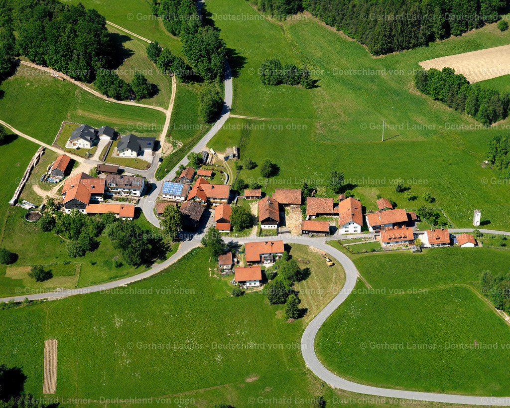 2724958 | Gingharting