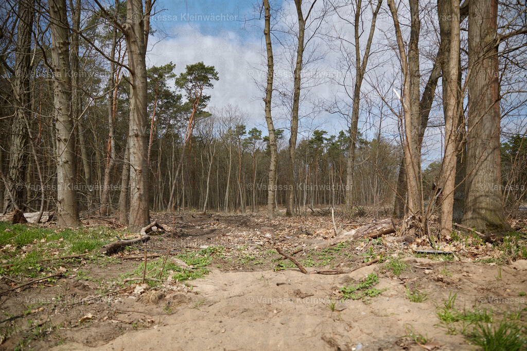 250412_TeslaWaldspaziergang_00026 | Vanessa Kleinwächter - Realisiert mit Pictrs.com