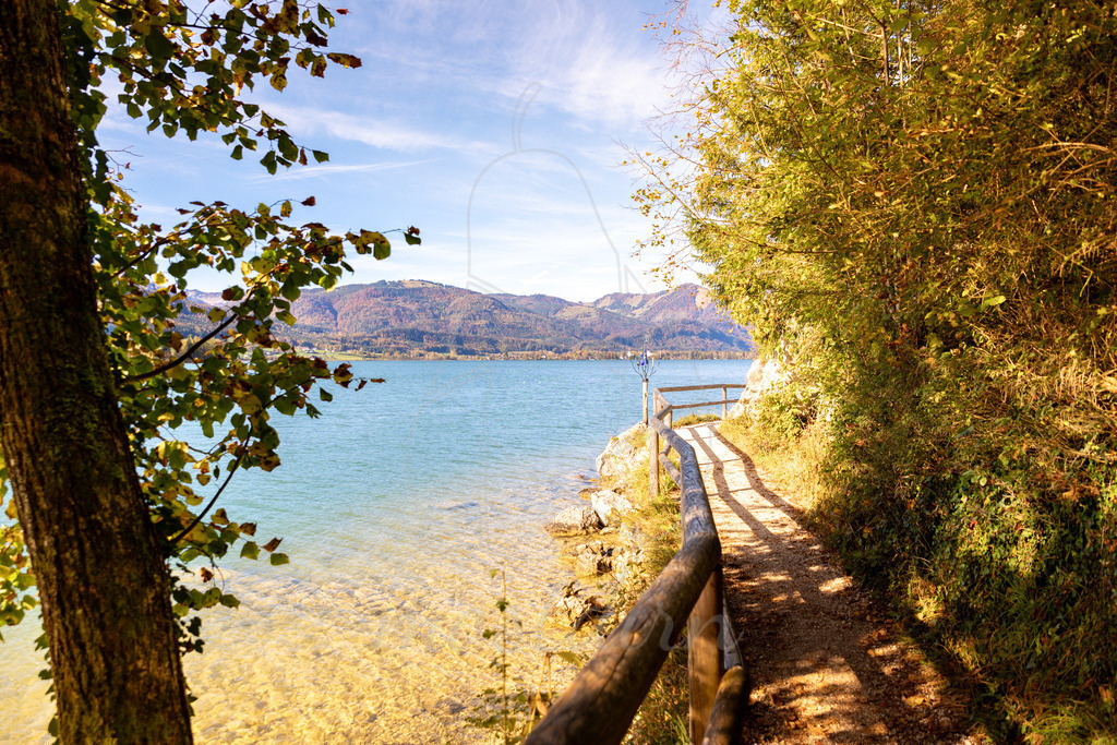 Herbst am Wolfgangsee | Ihre Fotografin im Lungau, ihre Fotografin im Mostviertel, Wandbilder Onlineshop, Imagefotos für Ihr Unternehmen,  - Realisiert mit Pictrs.com