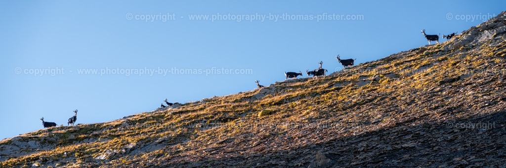 Wanderung Gschützsattel Weitental  copyright  Thomas Pfister-2 | PHOTOGRAPHY BY THOMAS PFISTER