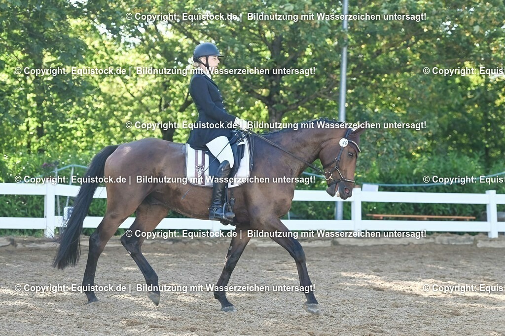 20230715_06_Dressurpferdeprfg. Kl.A_0041 | equistock
