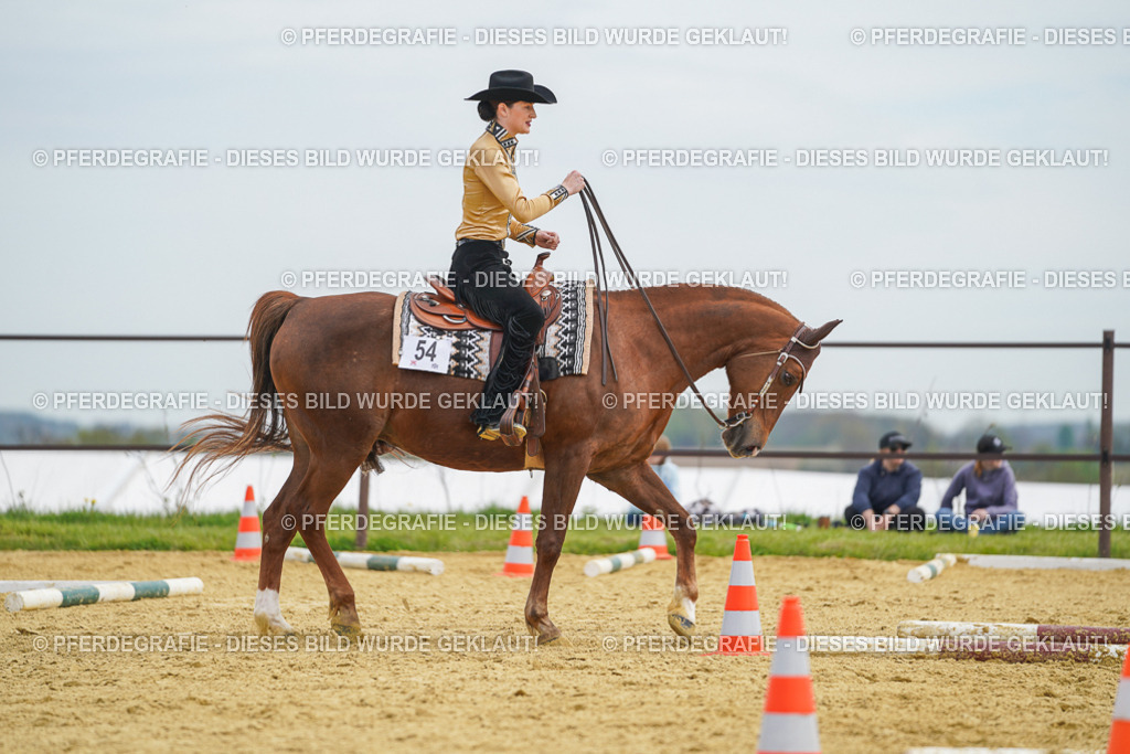 DSC03308 | Pferdegrafie