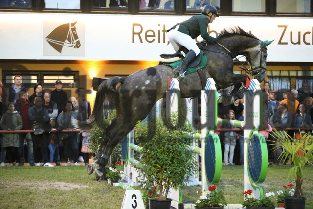 Weingarten_2022_Mächtigkeitsspringen_Kl.S_Carsten Kurz_Lord Lupus T | Alle Fotos der Reiterjournal Fotografin Doris Matthaes im Reiterjournal Online-Fotoshop. - Realisiert mit Pictrs.com