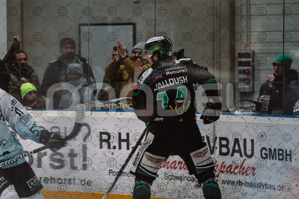 Alligators_vs_Lindau_20_02_2026-19 | Höchstadt Alligators Fotogalerie: Eishockey-Action aus Franken. Professionelle Spielfotos, Portraits & Stadionbilder zum Download. Jetzt entdecken! - Realisiert mit Pictrs.com