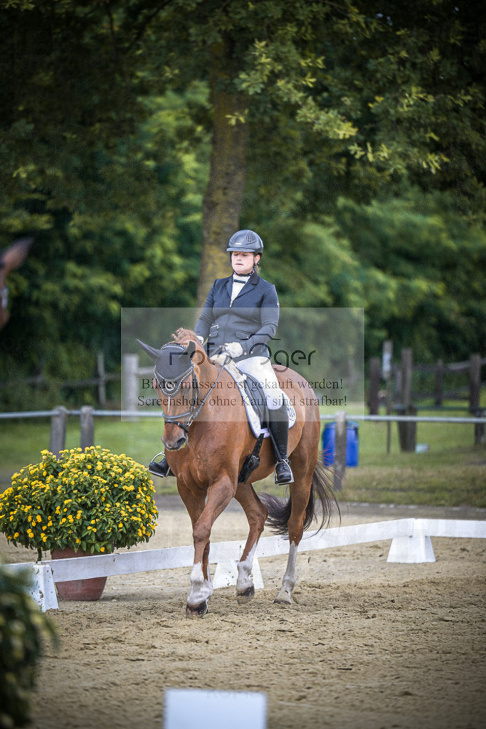 DOS_4792 | Entdecke hochwertige Reitturnierfotos von Foto Oger. Professionell, emotional und authentisch – jetzt Lieblingsmomente im Shop bestellen.Deutschlandweite Turnierfotografie. - Realisiert mit Pictrs.com