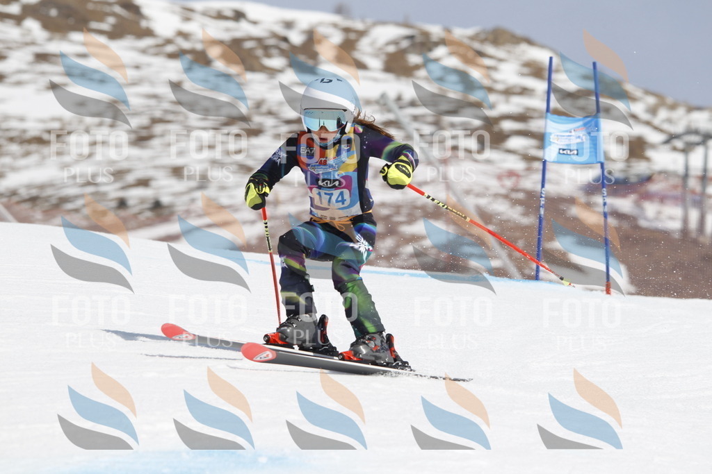 _U3G1618 | holidayphoto