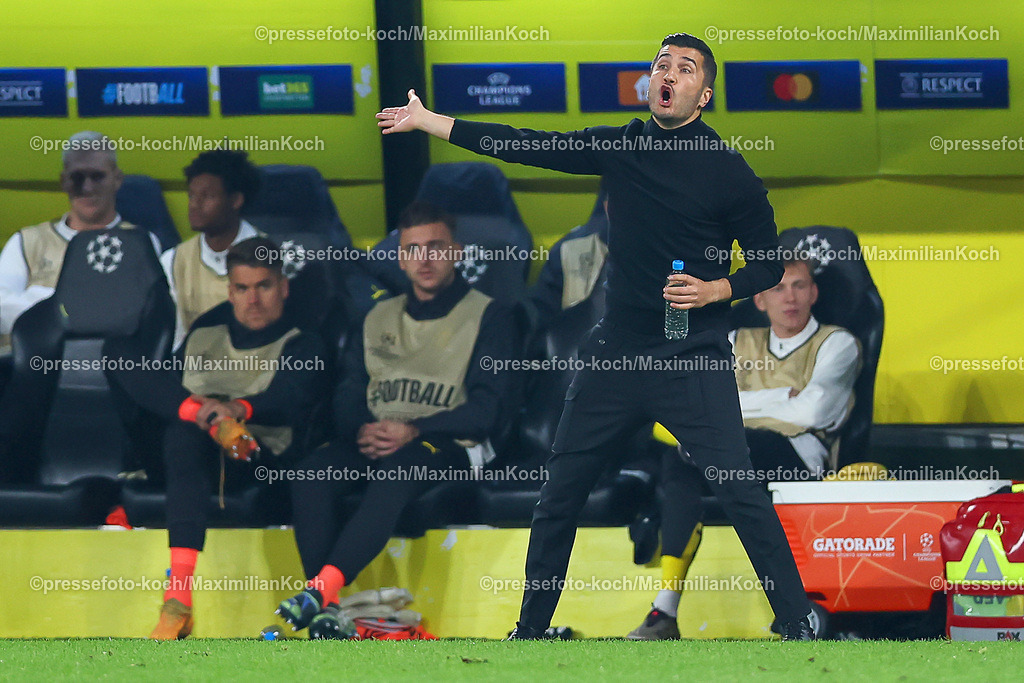 BVB01102401025 | 01.10.2024, Fußball, UEFA Champions League, Borussia Dortmund - Celtic Glasgow, 2. Spieltag, Signal Iduna Park, Saison 2024 2025: Trainer Nuri Sahin (Cheftrainer BVB) steht wild gestikulierend an der Seitenlinie