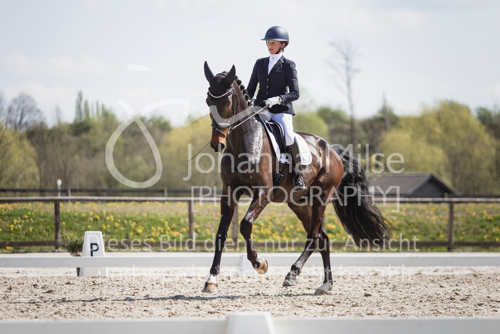 250416_Dressurpferde-L-249 | Deine schönsten Turniermomente als professionelle Fotos! Entdecke hochwertige Pferdesport-Fotografie im Online-Shop. Jetzt Fotos finden & bestellen!