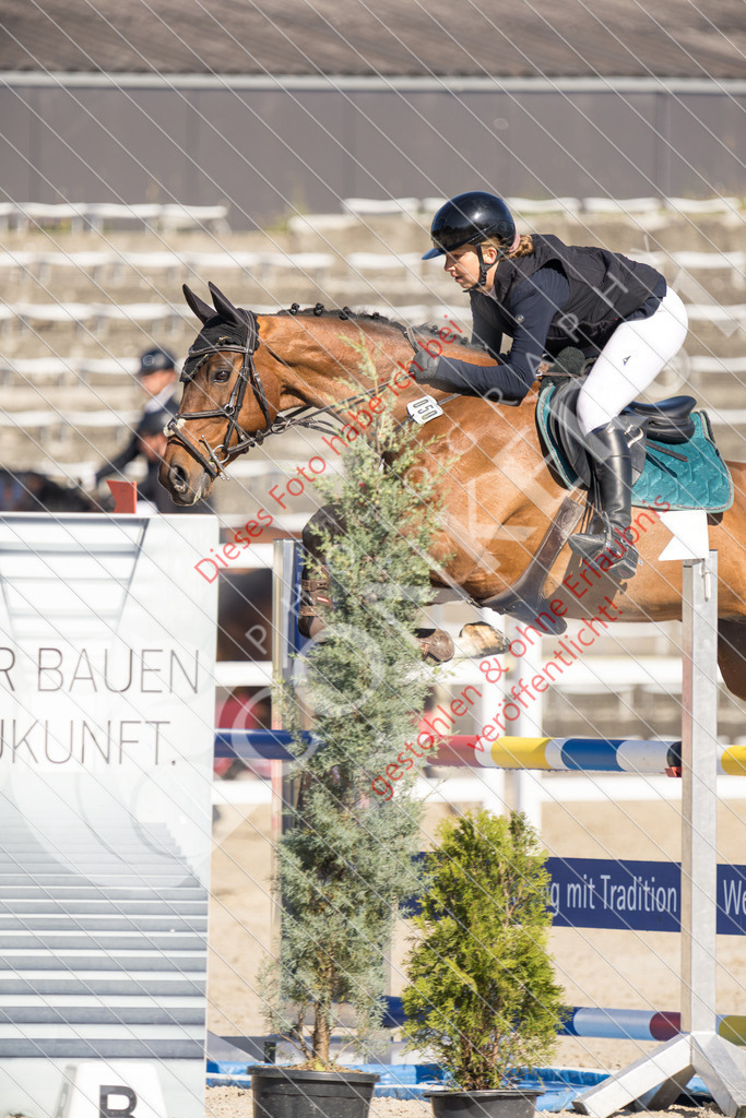 IMG_3260 | Sport-, Event- und Tierfotos in Profiqualität. Einfach auswählen, bestellen und herunterladen. Dein Moment – perfekt festgehalten.