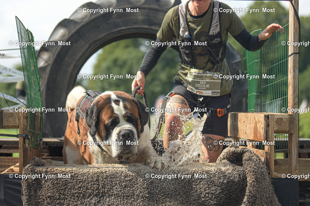DSC_0814-2 | Hallo und herzlich Willkommen auf meiner Shop-Seite Fynn Most.

Ich wünsche Dir viel Spaß beim stöbern durch die Bilder, wenn Du Fragen hast oder Bilder vermisst, kannst du mir gerne eine Nachricht schreiben. - Realisiert mit Pictrs.com