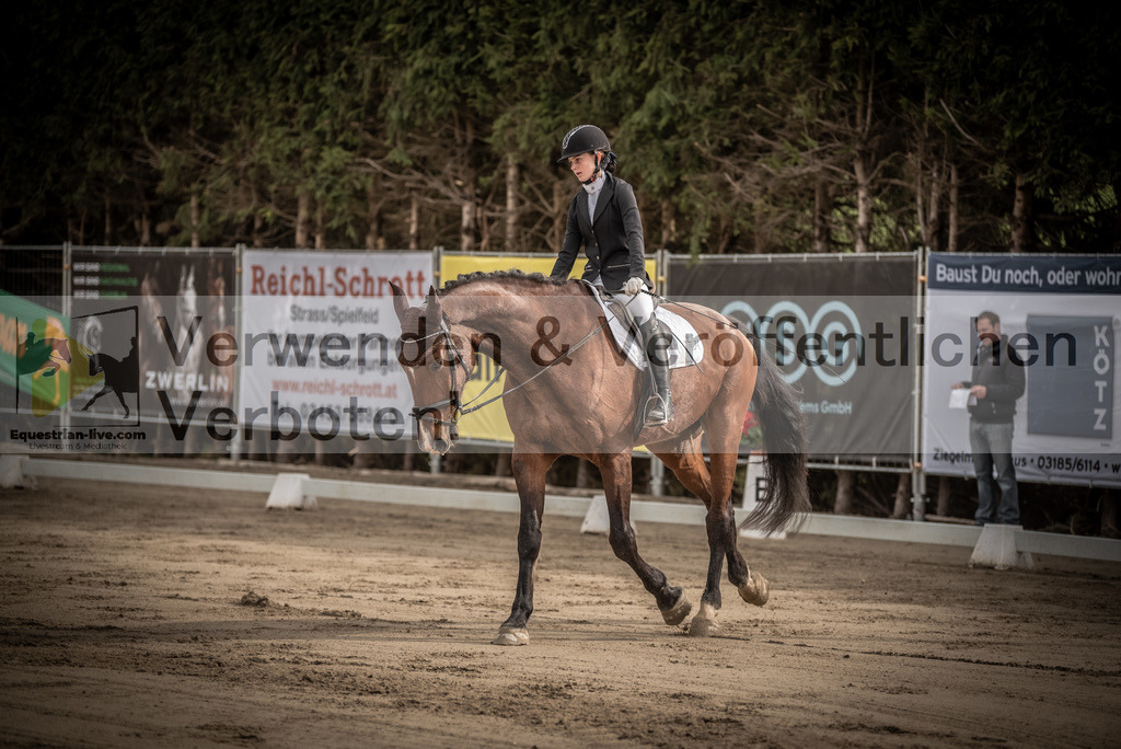 DSC_8289 | equestrian-live-com