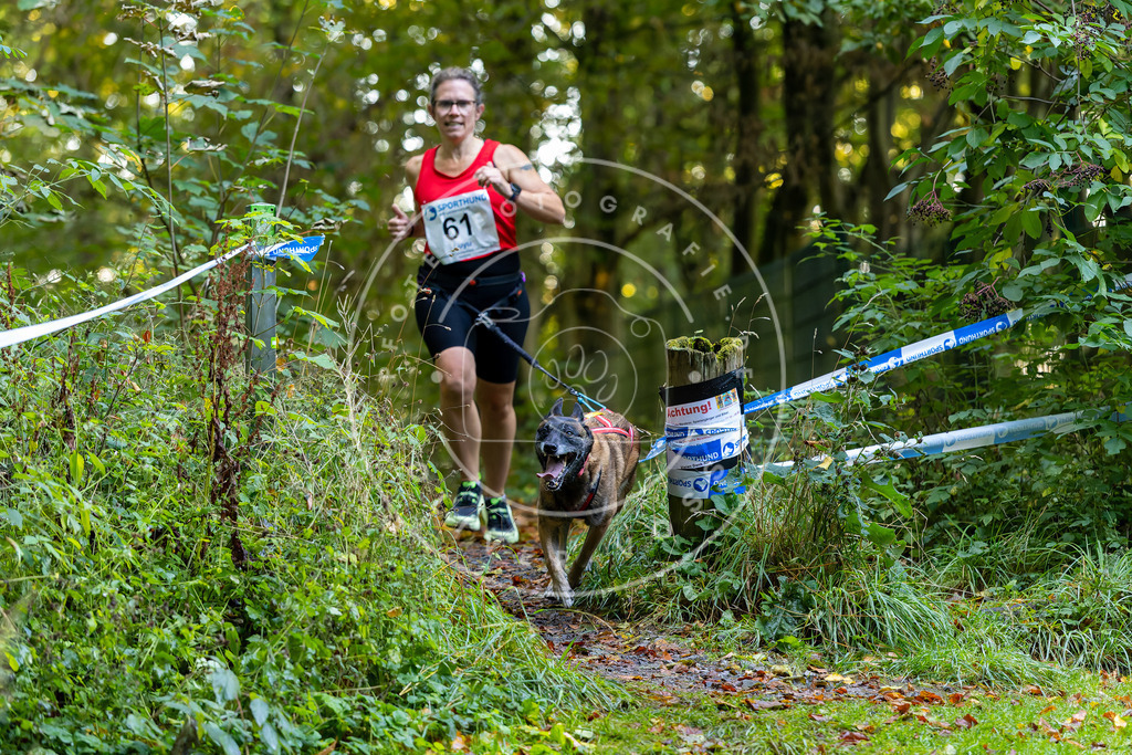 Pfotenfotografie_DV3A7210 | Hundefotografie, Tierfotograf, Pfotenfotografie, Fotoshooting Hund, Hunde Portrait, Hundesport, Hundeportraits, Heideshooting, Hunde, Sportfotograf, Hundefotograf, Turnierhundsport, THS,  - Realisiert mit Pictrs.com