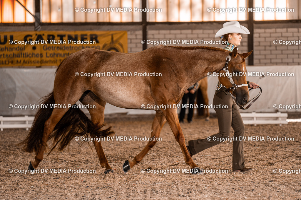 ZH100193 | dv-media-shop - Realisiert mit Pictrs.com