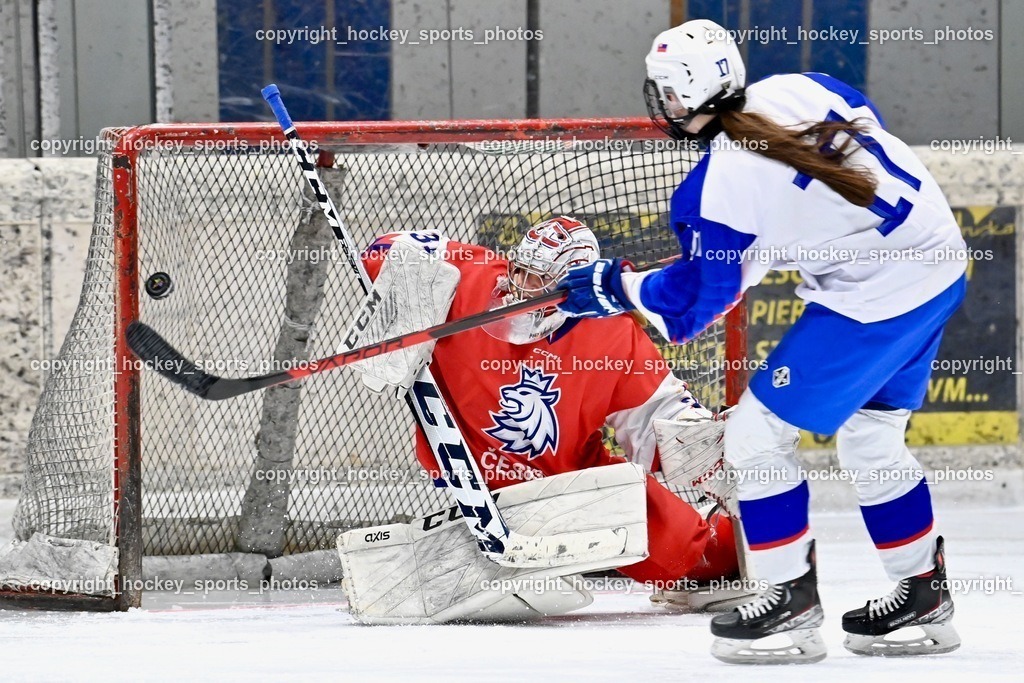 BST_5889 | hockey sports photos, Pressefotos, Sportfotos, hockey247, win 2day icehockeyleague, Handball Austria, Floorball Austria, ÖVV, Kärntner Eishockeyverband, KEHV, KFV, Kärntner Fussballverband, Österreichischer Volleyballverband, Alps Hockey League, ÖFB, 