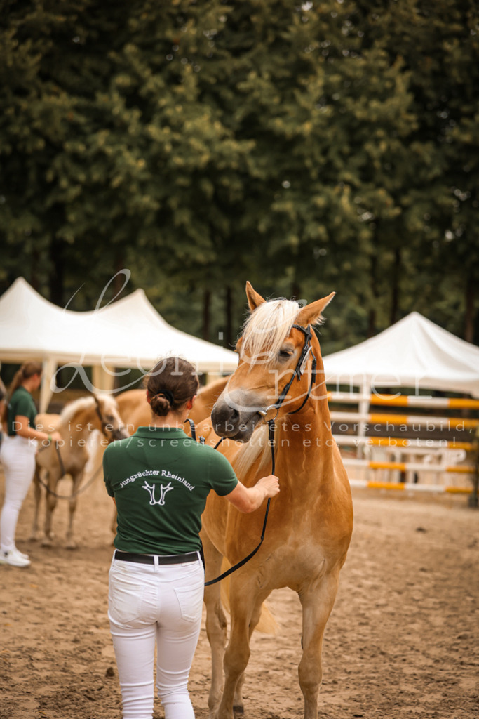 06.So00111 | Leoni Ertmer Photography - Realisiert mit Pictrs.com