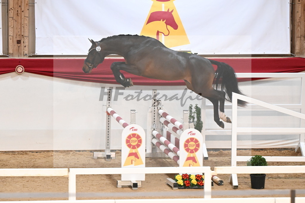 Kat.-Nr. 25 v. Jasper_Stabhalterhof_3261775 | hf-fotografie - Realisiert mit Pictrs.com