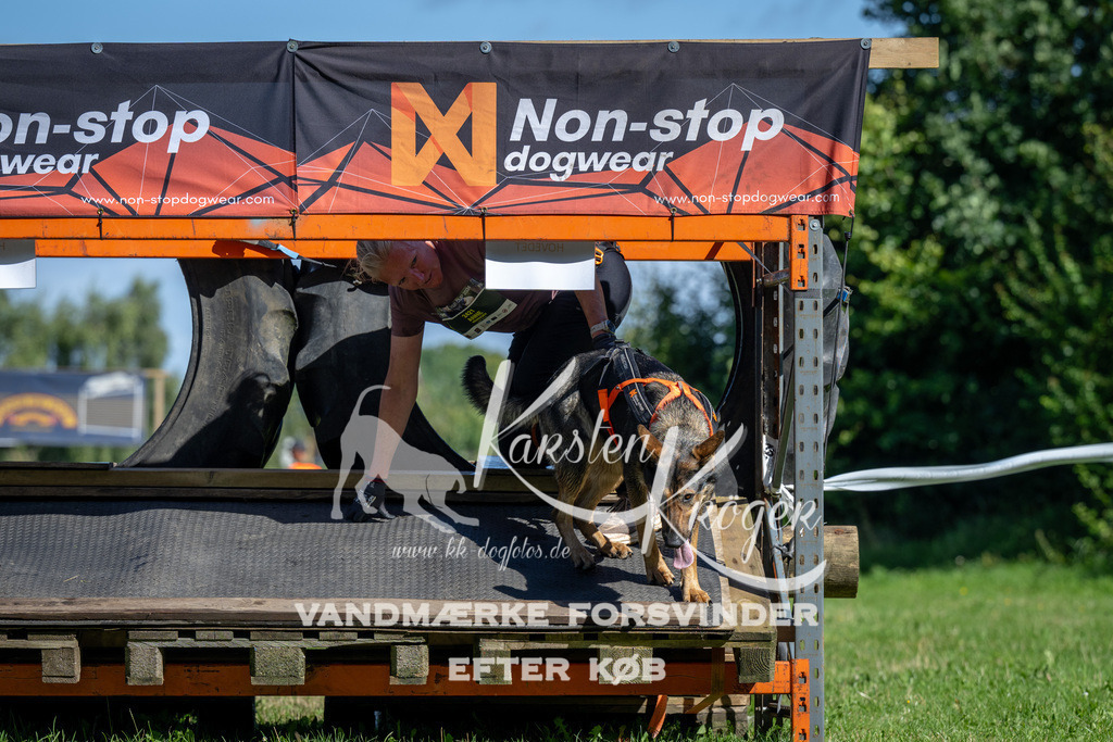 1052_ZZ91571 | kk-dogfotos