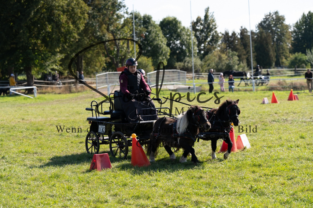 A7V04407 | Pferdefotograf