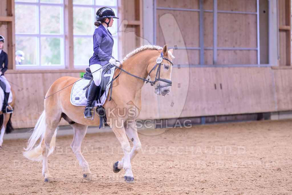 11042026-Mammendorf-Prfg25-0640 | Fokus Hufschlag Fotografie - Realisiert mit Pictrs.com
