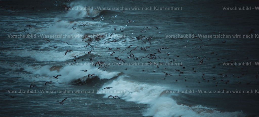 DSC00428-2 | marcuslinek