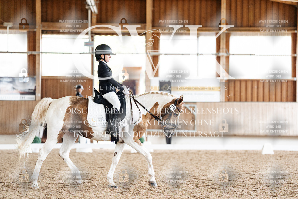CK900518 | Turnierfotografie Pferdefotografie Trier Rheinland-Pfalz Pferdesport Reitsport Tierfotografie Sportfotografie Pferdevideo Pferdevideografie Equestrianvideography equestrianphotography  - Realisiert mit Pictrs.com