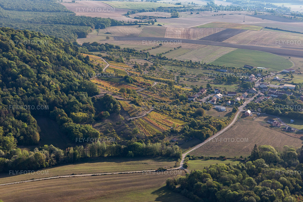 Aerial view: Vineyards in La Neuveville-sous-Montfort in the state Vosges, France. – Photo: IMG_118468.jpg taken on 09/16/2019 by Werner Riehm/FLY-FOTO.com – Resolution of the original: 5472 x 3648 px