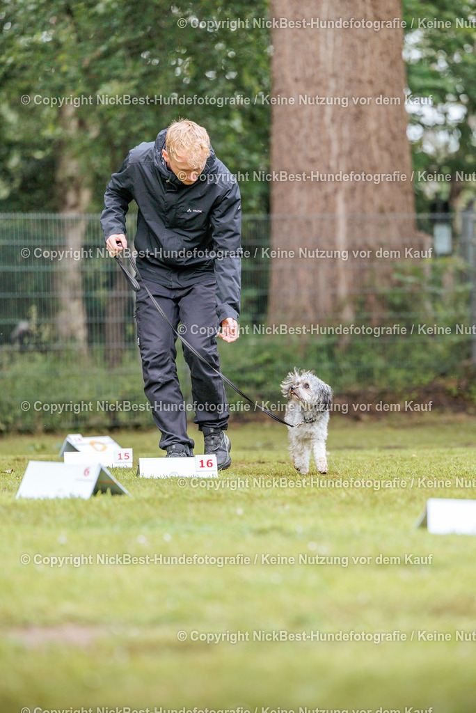 RO-Blumenthal-2026-Nickbest-Hundefotografie-4713 | Dein Hund! Dein Moment! Deine Erinnerungen! Hundefotografie in Bremen Blumenthal. Ich fange die besonderen Momente deines Vierbeiners ein – ob Indoor mit Blitzanlage oder in der freien Natur. Sicher dir dein Moment und dein Termin für eure Erinnerungen.