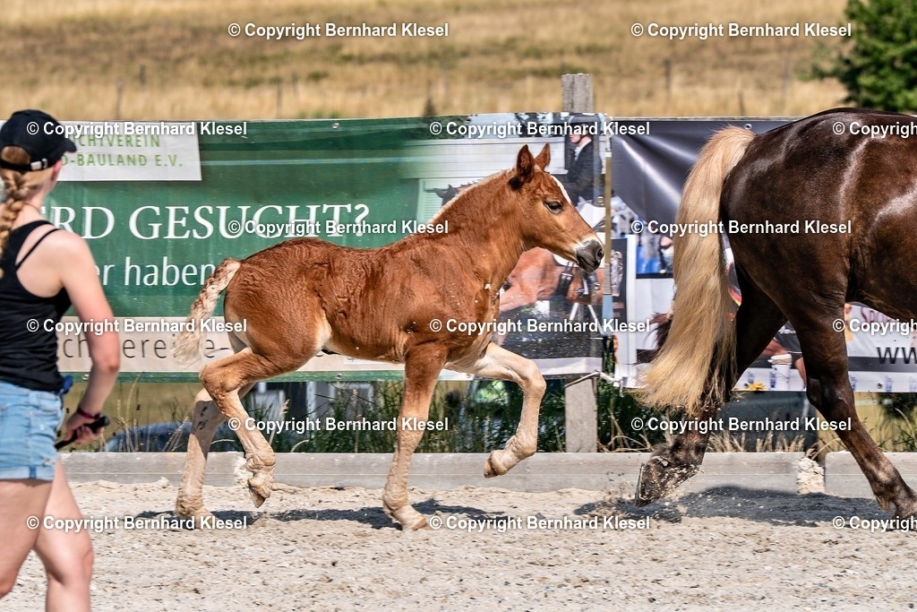 2A906780 | foto-team-bernhard - Realisiert mit Pictrs.com