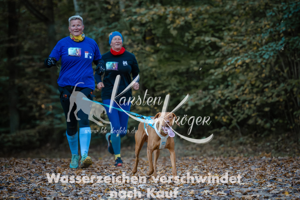 0850_ZZ96079 | kk-dogfotos