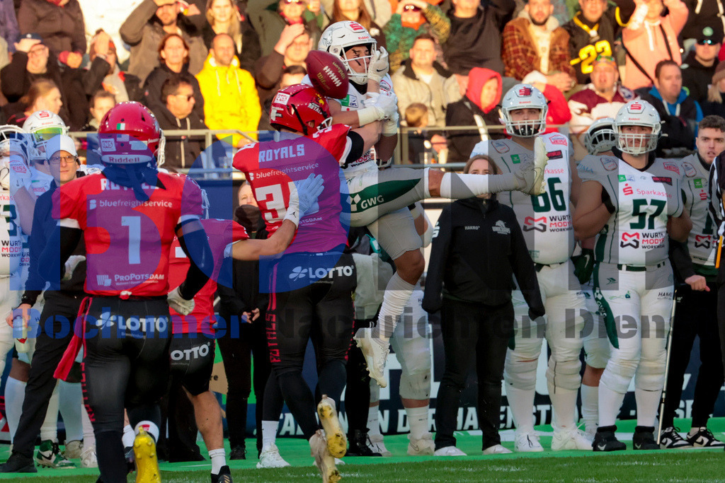  14.10.2023 - 
 | Sebastian Sendlak / Bochumer Nachrichtendienst (BOND) - GFL-Bowl 2023: Schwaebisch Hall Unicorns vs. Potsdam Royals - Realisiert mit Pictrs.com