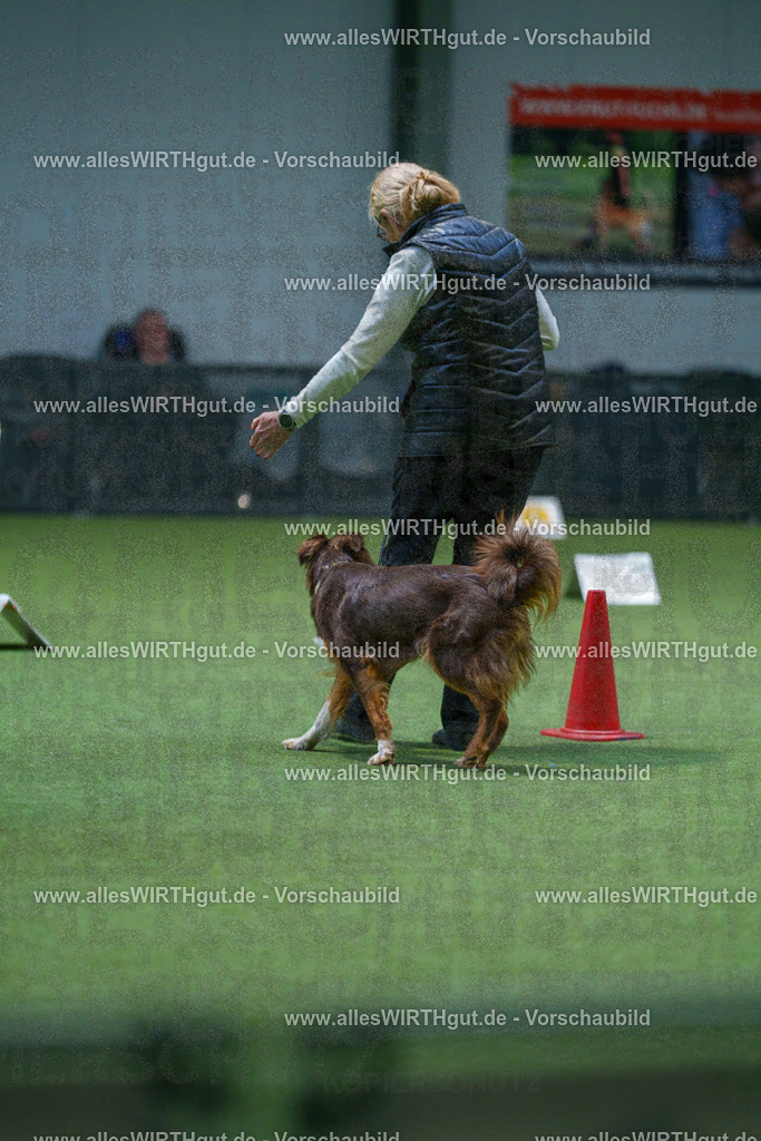 7R501346 | Professionelle Tierfotografie in Mönchengladbach von Daniel Wirth (allesWIRTHgut). Liebevolle & natürliche Bilder von Hunden & Katzen für unvergessliche Erinnerungen.
