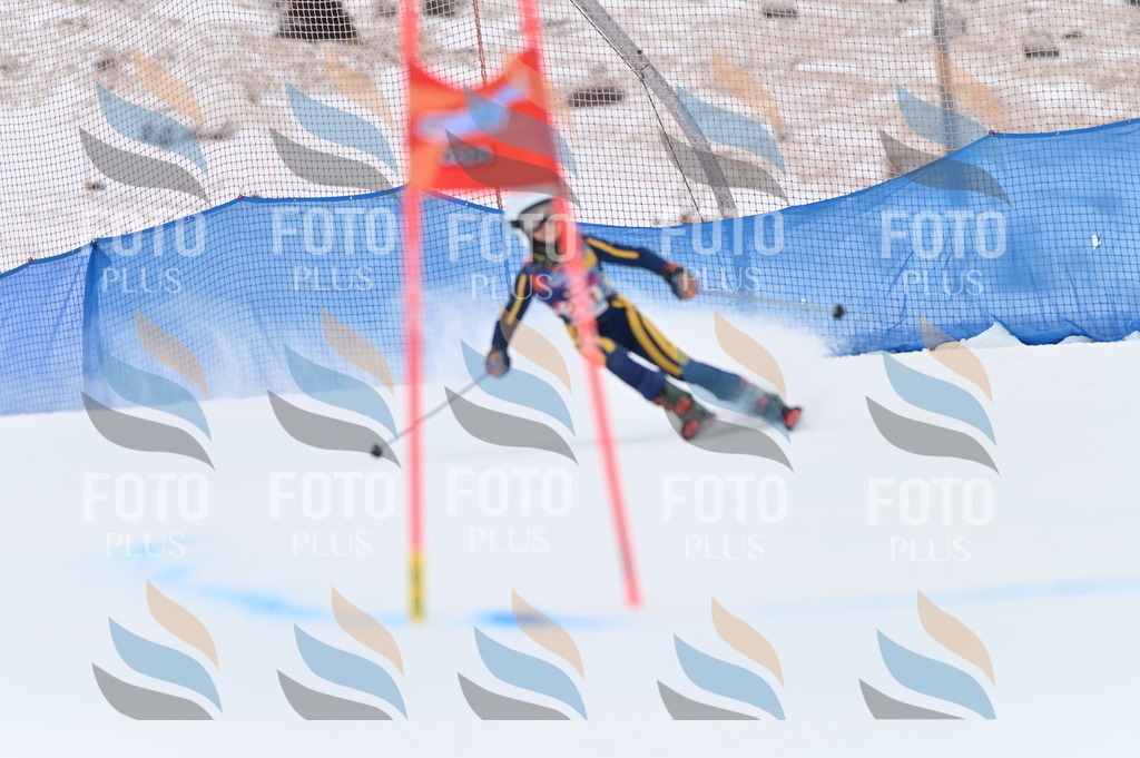 BGV_3094 | holidayphoto