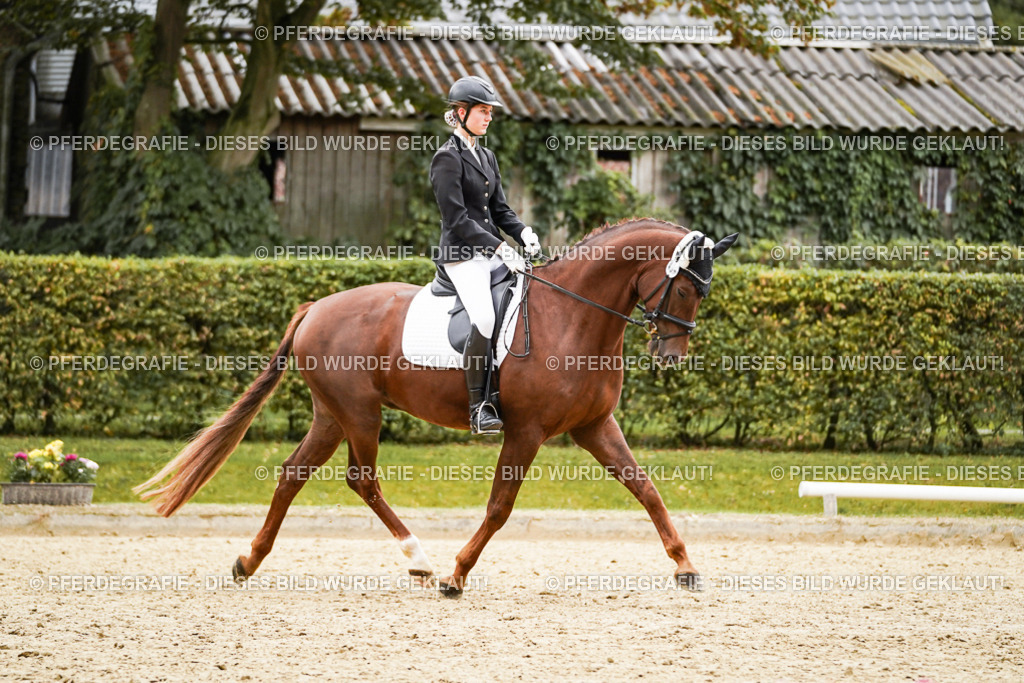 DSC08643 | Pferdegrafie