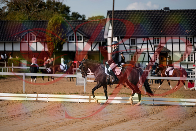 2026_10_03_Siefer-Hof_113243_Z63_19034159 | Professionelle Reitsport-, Turnier- und Eventfotografie von Robert Broda. Galerien mit ausgewählten und bearbeiteten Bildern direkt online ansehen und bestellen.