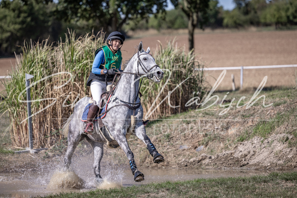 20260906-_3LI5348 | Tierfotografie Pferde, Hunde, Katzen, Haustiere.
Turnierfotografie Reitturniere, Reiten, Springreiten, Dressur in Hanau, dem Main-Kinzig-Kreis und dem Rhein-Main- Gebiet um Frankfurt