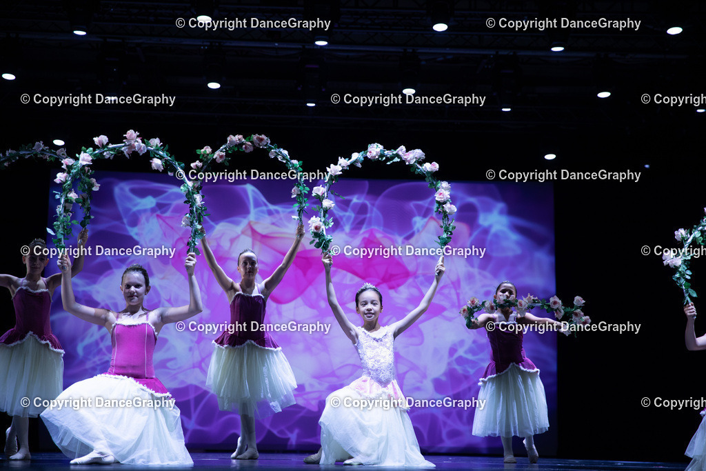 GPHY4791 | DanceGraphy - Realisiert mit Pictrs.com