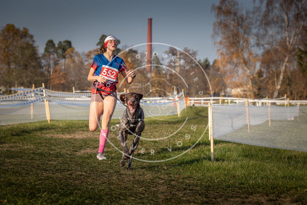 CaniXpix_0L8A9159 | Hundefotografie, Tierfotograf, Pfotenfotografie, Fotoshooting Hund, Hunde Portrait, Hundesport, Hundeportraits, Heideshooting, Hunde, Sportfotograf, Hundefotograf, Turnierhundsport, THS,  - Realisiert mit Pictrs.com