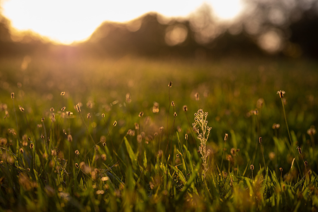 IMG_4792 | ehrlichefotos - Realisiert mit Pictrs.com